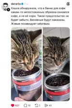 1784135702562.webp