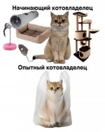 1779382850_11.jpg