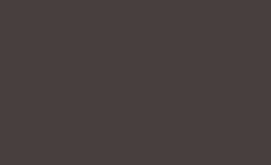 Zmp.gif