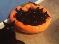 13374