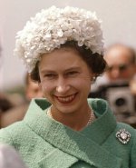 Hydrangea-head_2235731a.jpg.jpeg