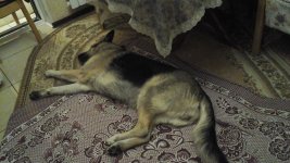 20160430_191120.jpg