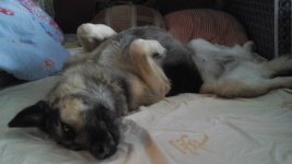 20150331_074932.jpg
