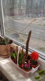 20160817_071117.jpg