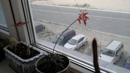 20160717_165040.jpg