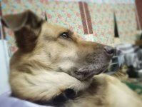 IMG-20190804-WA0039(2)(1).jpeg