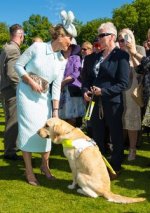 cee9c3718aade8a9b67ac5b585f41e1c--veterans-association-buckingham-palace-garden-party.jpg.jpeg