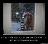 1356205502-pustite-pogretsya-a-to-tak-kushat-xochetsya.jpg