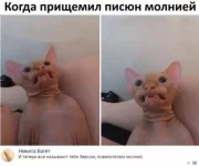 1721749834397.webp