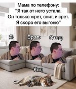 1784392638.jpg