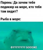 1784381167_13.jpg