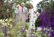gettyimages-2287154448-612x612.jpg