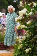 gettyimages-2286544567-612x612.jpg