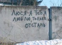 1771315221_9.jpg