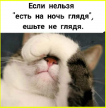 6bb52bcc9aef4351abcdd0141ddcb26c.png