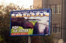 76288168_original.jpg