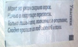1002.jpg