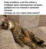 1784921402120.webp