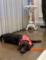 IMG_8616.jpeg