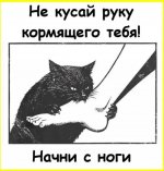 8b03a36079b74e43bf7b1a655c886cc0.jpg