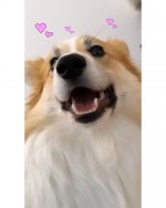 15299