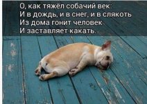 S91106-004001(1)(1).jpg