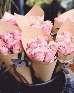 b_i3KRX_YDY(1).jpg