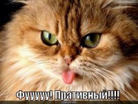 prativnyy_1269019065.jpg