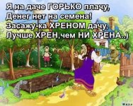 FB_IMG_1583355313221.jpg