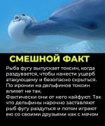 FB_IMG_1584461214059.jpg