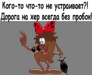 18031