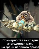 IMG_20200318_071129.jpg