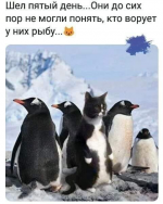18163