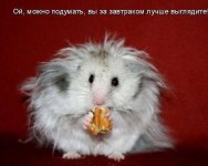 Без_причёски.jpg