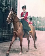 queen-horse-18.jpg