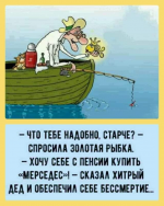 19036