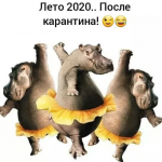 19151
