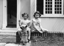 19966