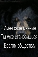FB_IMG_1585837492241.jpg