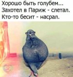 20249