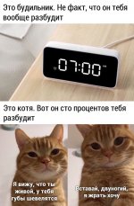 20532