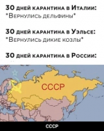21108