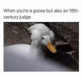21371