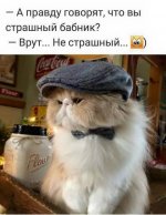 21891
