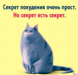 Opera Снимок_2020-05-18_030540_vk.com.png