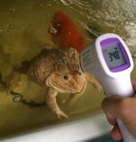 22223