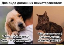 1ce7489d3a055660d8c68844a1ec348e_987.jpg