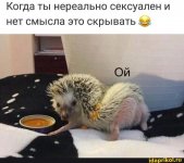 22776