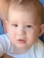 23131