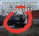 23174